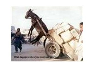 Allah Yanında; Fille Karıncanın, Aklını kullanmayan İnsanla Eşeğin Hiç Bir Farkı Yoktur