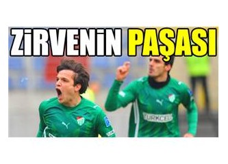 Ligin Paşası Timsah