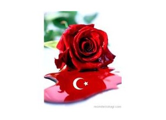 Koca yürekli Türkiyem