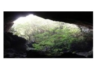 Mağaranın Kamburu-3