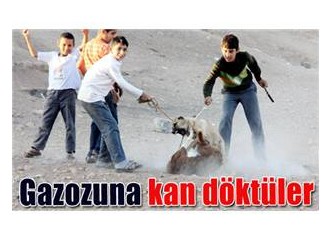 İçim Acıyor!!!