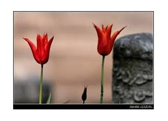 Gün bilse son gündür insan