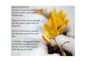 Yeni yılda yazdığım ilk şiir