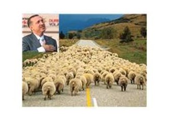 Aynı dağın yeli(mi)yiz biz!!!