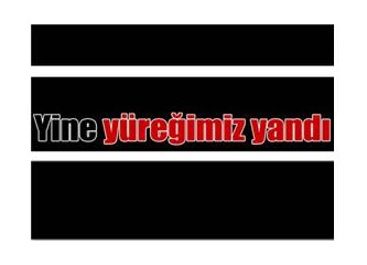 PKK, şiddetle geldi ve kendi şiddetiyle bitecek!