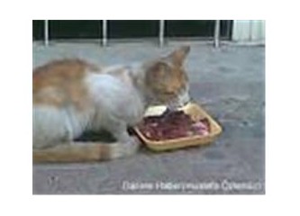 Daha fazla sessiz kalmam mümkün değil !!