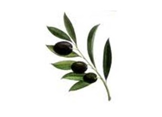 YORULDUM