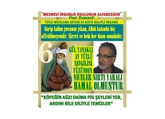 "Mesnevi" de Mevlana'dan  "Köylünün Fendi"  Bölüm.6