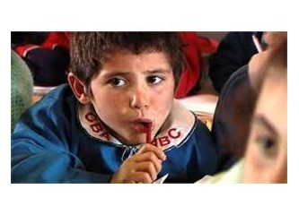 Anadilinin önemi, anadilinde eğitim üzerine 2