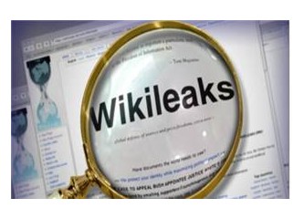 WikiLeaks: Ne Ararsan Var; Yok, Yok...