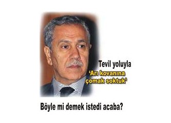 Arı kovanına çomak sokmuşlar…