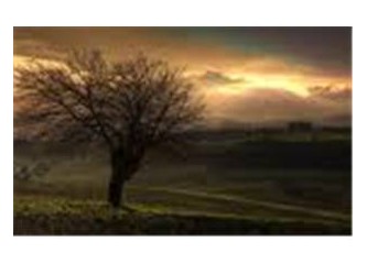 Ruhunda ise asalet..