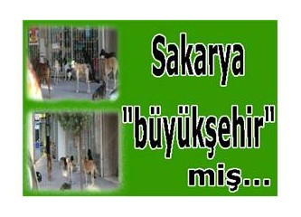 Sakarya 'büyükşehir' miş...