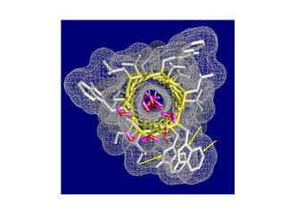 Proteinler – Canlıları oluşturan temel maddeler – 6