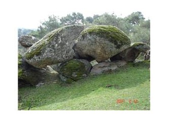 Odamıza da girdiler