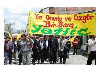 DTP nasıl bir çözüm istiyor ya da istiyor mu?