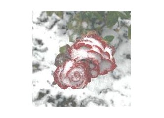 Dağda vurulmak.