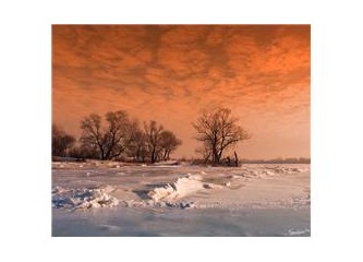 Yaşamınızda yitirmekten en çok korktuğunuz şey nedir?