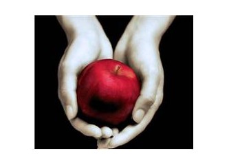 Yaratılış mı….. Evrim mi….