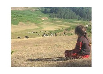 Şu aşk dedikleri..