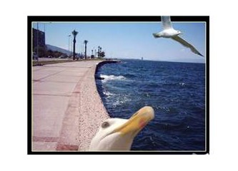İzmir yazmak…İzmir’e yazılmak…