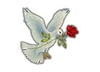 İyimserlik- kötümserlik