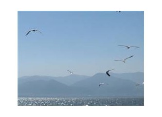 Bir Ankaralı'nın İzmir Maceraları