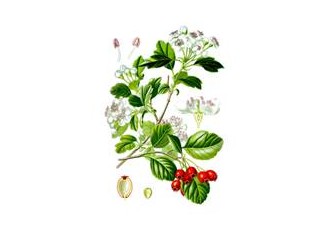 Kalbinizi yaza hazırlayın