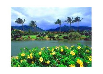 Zararlılar…