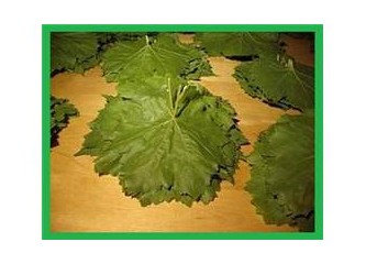 Asma Yapraklarını Saklamak İçin