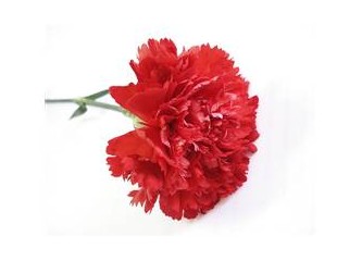 Murat Tokmak'a  ve anısına saygı...