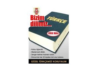 Hangi Türkçe’yi öğretmek?