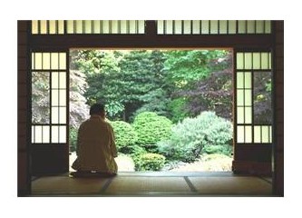 Haiku 23: Tepe