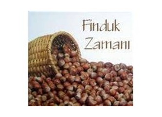 Türkiye’nin nükleer teknoloji gerçeği; Radyasyon çayda var, findukta yok! (2)
