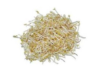 Ölümcül E.coli Bakterisi Soya Filizinden bulaşmış