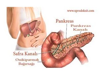 Pankreas kanseri