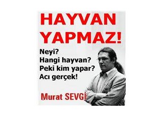 Hayvan yapmaz