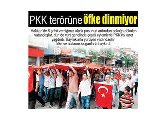 PKK neyin sonucudur?