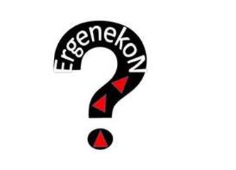 Denize düşen Ergenekon "Hayır"a sarılıyor!