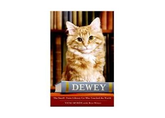 Dewey