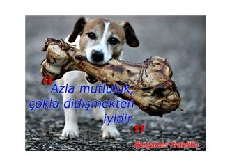 Cesur seni tenzih ediyorum !