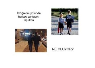 Yaşam