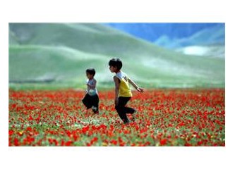 Bayrampaşa Cezaevi ve domates tarlaları