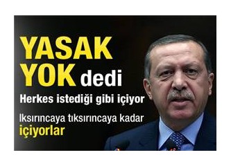 Başbakan (Recep Tayyip Erdoğan) Sapına Kadar Haklı!... (!)