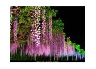 Anneler Gününde düşündüklerim