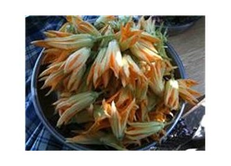 Hayat iliklerimizde sonsuz cesaret