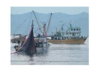 Kaç Çeşit Balıkçılık Vardır