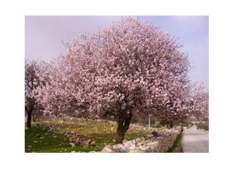 Derdim başka!!!