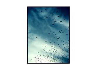 Kendim/l/e Konuşmalar-IX