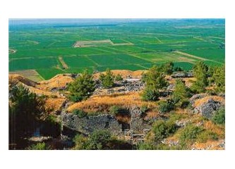 Priene, Altınkum, Tatlımaya, Yakamoz vs. vs.